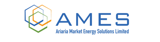 Private Sector Partner 6